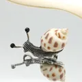 Detalle macro de broche de caracol con concha natural y textura de metal plateado - 24x49mm / Estilo Babylonia Plateado (B250606055)