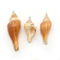 Détail de pendentifs en conque naturelle avec dorure pour la création de bijoux DIY - Escargot Pilon de Poulet