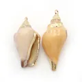 Gros plan de pendentifs en coquillage naturel avec bords dorés pour bijoux DIY - Escargot Queue de Phénix