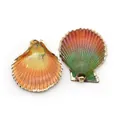 Orecchini a conchiglia con gradiente arcobaleno placcati in oro e trama radiale fine - Stile 33 (Stile Orecchino Arcobaleno)