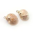 Pendentifs en coquillage naturel avec bordure en métal doré et anneaux pour bijoux DIY - Conque Pointillée