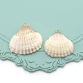 Pendentifs en coquillage naturel avec bordure dorée et boucles pour bijoux DIY - Coquille de Neige