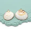 Paire de pendentifs en coquillage naturel avec anneaux dorés pour création de bijoux DIY - Coquille Ondulée d'Ambre