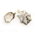 Pendentifs en coquillage naturel avec bords dorés et crochets pour création de bijoux - Conque Chapeau de Paille