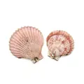 Pendentif en coquille naturelle avec bord doré pour la création de bijoux DIY et artisanat - Coquille Arc-en-ciel