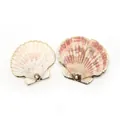 Paire de coquillages naturels en forme d'éventail avec bords dorés pour bijoux - Coquille Plate Fleur