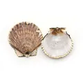Pendentifs en coquillage naturel avec bords dorés pour la création de bijoux - Coquille Saint-Jacques Noire