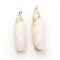 Pendentifs en nacre naturelle avec élégants bords dorés pour la création de bijoux - Coquille de Balle