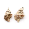 Pendentifs en coquillage naturel avec bordure dorée pour bijoux DIY - Escargot Peau de Crocodile
