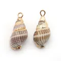 Pendentifs en coquillage naturel avec spirales brunes et garnitures en métal doré - Escargot à Motifs d'Encre