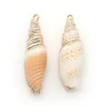 Pendentifs en coquillage naturel avec bords dorés et boucles pour bijoux DIY - Conque Mitre