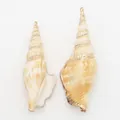 Pendentif en conque naturelle avec placage à l'or et anneau pour la création de bijoux - Coquille de Hache