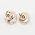 Paire de pendentifs conque en nacre naturelle avec placage doré pour bijoux DIY - Conque Verte Pelée Cuivrée