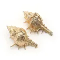 Paire de pendentifs coquillage dorés avec textures en spirale pour bijoux DIY créatifs - Conque Épineuse Tout Or