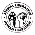Spilla smaltata Animal Liberation e Human Liberation con design a zampa e pugno chiuso - Stile Liberazione Animale