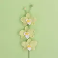 Handmade crochet orchid bouquet in light green with three blooming flowers and buds - Three Orchid Branches / Green