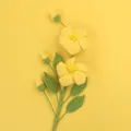 Handgefertigter gehäkelter Blumenstrauß mit gelben Blüten und grünen Blättern auf Gelb - Gelb (Afghanischer Eustoma-Zweig)