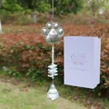 Attrape-soleil cristal patte d'animal argenté avec prisme arc-en-ciel et coffret - Patte + Pendentif Diamant (Boîte Cadeau)