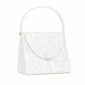 Macro detail of pearlescent acrylic handbag featuring golden hardware and vintage texture - White