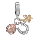 DIY Charm-Anhänger mit Roségold-Marienkäfer, Silber-Hufeisen und Kleeblatt-Motiv - Mehrfarbig Marienkäfer Hufeisen Kleeblatt (26)