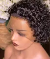 Short black curly lace front wig with tight spiral curls and natural hairline - Dark Brown