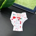 Sanitary dog physiological panties featuring cute strawberry print and decorative bow - Red Strawberry Print