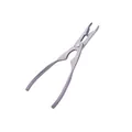 Golden 304 stainless steel crab cracker tool with serrated grip and long handles - Crab Claw / Natural