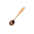 Polished rose gold 304 stainless steel measuring spoon for coffee or baking needs - 5ml-Gold