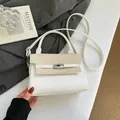 White leather handbag with beige herringbone fabric flap and silver twist lock detail - White Without Pendant