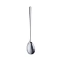 Cuchara de mango largo de acero inoxidable pulido espejo para café y postres - Natural