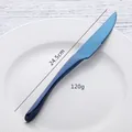 Blue 304 stainless steel steak knife with serrated blade 24.5cm length and 120g weight - Blue Plastic Knives