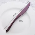Purple stainless steel steak knife with serrated blade and 24.5cm streamlined handle - Purple Knife