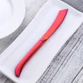 Regenboog roestvrijstalen steakmes met gekarteld lemmet op een wit keramisch bord - Magisch Rood
