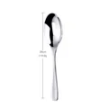 Polished silver stainless steel slotted serving spoon with 26cm length for buffet use - Natural Silver Slotted Serving Spoon