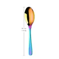 Rainbow plated stainless steel serving spoon with long handle 26.1cm for bars - Rainbow Serving Spoon