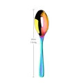 Rainbow plated stainless steel 26cm slotted serving spoon with polished mirror finish - Rainbow Slotted Serving Spoon