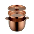 Recipiente para aceite de acero inoxidable oro rosa con colador y tapa, capacidad 2,8L - Oro rosa