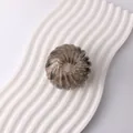 Translucent smoke gray expanding bird's nest hair clip for high ponytail bun styling - Glossy Leopard Grey