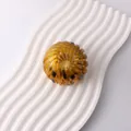 Elegant tortoiseshell pattern bird's nest hair claw clip for lazy bun styling. - Glossy Amber Tortoise