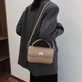 Taupe leather small square handbag with silver twist-lock worn cross-body - 23*6*14 / Khaki
