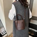 Dunkelbraune Eimer-Handtasche mit Lychee-Muster und abnehmbarem Schultergurt - Braun