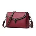 Retro wine red pebbled leather crossbody bag with brown trim and metal buckle - Burgundy