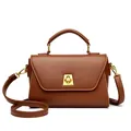 Minimalist dark brown square handbag in matte finish with golden trapezoidal twist lock - Brown