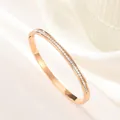 Detailed macro view of rose gold titanium bangle featuring square-cut zircon stones - Rose Gold Single Row