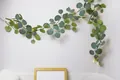 Künstliche Eukalyptus-Ranke mit warmweißen LED-Lichterketten für die Wanddekoration - Girlande (200cm 20 Lichter)