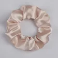 Elastisches Satin-Haargummi in Champagner mit glänzendem Seideneffekt für Damen - Champagne Pink (67)