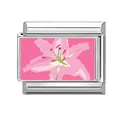 Italienisches Armband-Modul mit rosa Lilienblüten-Design auf polierter Silberbasis - Rosa Lilien Blumenstil