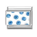 Italian modular charm featuring hand-painted blueberry motif on polished stainless steel - Blueberry Illustration Style / 1*0.9cm