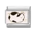 Italian charm link featuring a cute sleeping black and white cat on blue polka dots - Polka Dot Background Napping Cat (Pet-9)