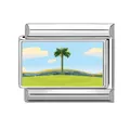 Italian charm bracelet link in stainless steel with a tropical palm tree landscape - Blue Sky and Palm (Landscape 11) / 1*0.9cm